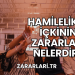 Hamilelikte İçkinin Zararları Nelerdir?