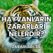 Hayvanların Zararları Nelerdir?