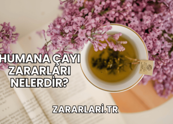 Humana Çayı Zararları Nelerdir?