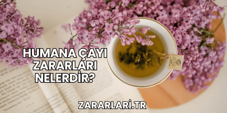Humana Çayı Zararları Nelerdir?