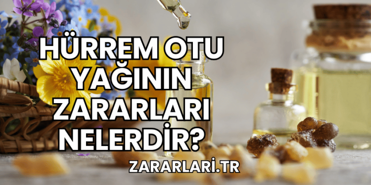 Hürrem Otu Yağının Zararları Nelerdir?