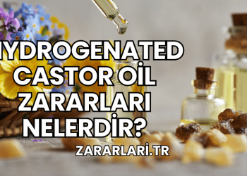 Hydrogenated Castor Oil Zararları Nelerdir?