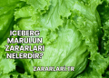 Iceberg Marulun Zararları Nelerdir?