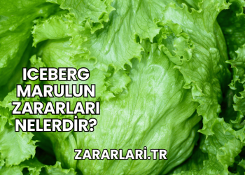 Iceberg Marulun Zararları Nelerdir?
