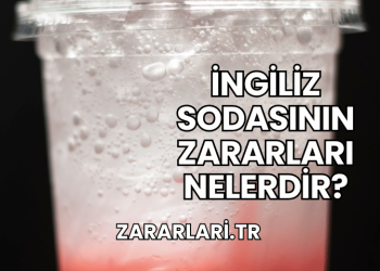 İngiliz Sodasının Zararları Nelerdir?