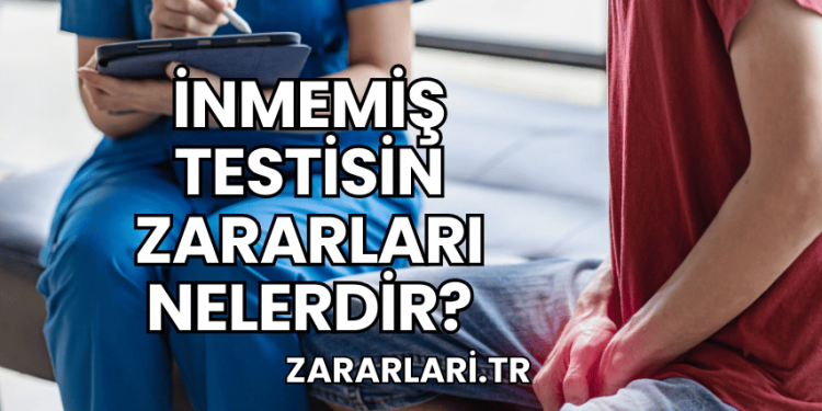İnmemiş Testisin Zararları Nelerdir?