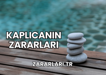 Kaplıcanın Zararları