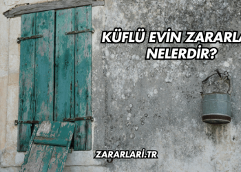 Küflü Evin Zararları Nelerdir?
