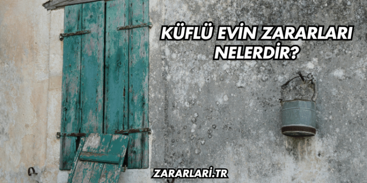 Küflü Evin Zararları Nelerdir?