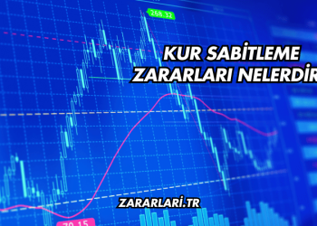 Kur Sabitleme Zararları Nelerdir?