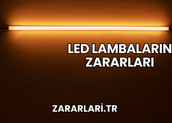 LED Lambaların Zararları