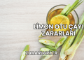 Limon Otu Çayı Zararları