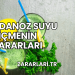 Maydanoz Suyu İçmenin Zararları