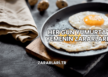 Her Gün Yumurta Yemenin Zararları
