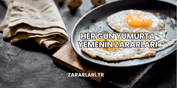 Her Gün Yumurta Yemenin Zararları