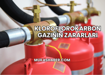 Kloroflorokarbon Gazının Zararları