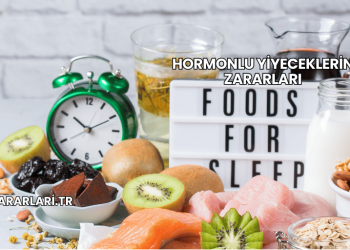 Hormonlu Yiyeceklerin Zararları