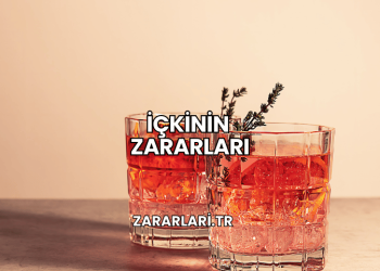 İçkinin Zararları