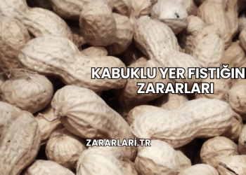 Kabuklu Yer Fıstığının Zararları