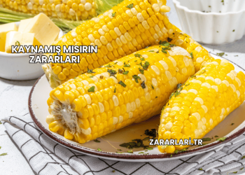 Kaynamış Mısırın Zararları