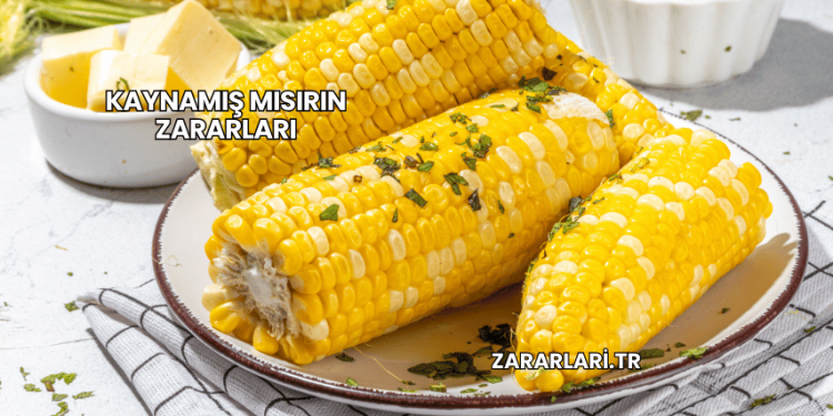 Kaynamış Mısırın Zararları