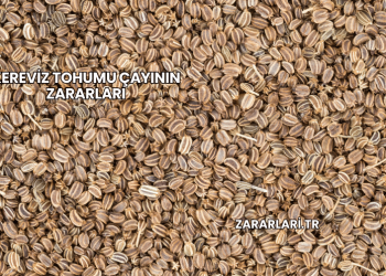 Kereviz Tohumu Çayının Zararları