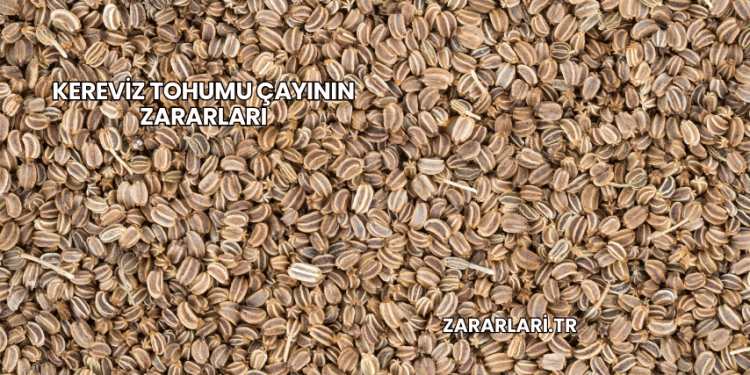 Kereviz Tohumu Çayının Zararları