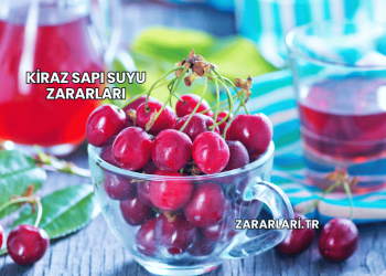Kiraz Sapı Suyu Zararları