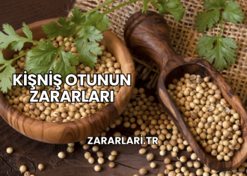Kişniş Otunun Zararları
