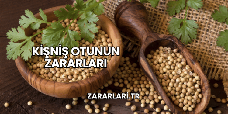 Kişniş Otunun Zararları