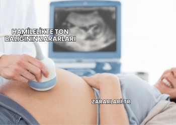 Hamilelikte Ton Balığının Zararları
