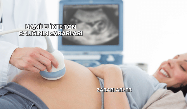 Hamilelikte Ton Balığının Zararları