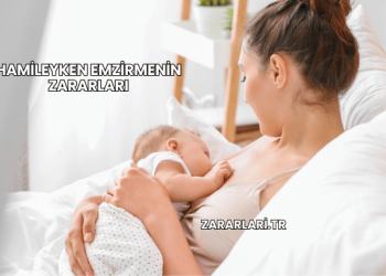 Hamileyken Emzirmenin Zararları