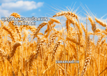 Haşlanmış Buğdayın Zararları