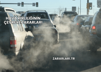 Hava Kirliliğinin Çevreye Zararları