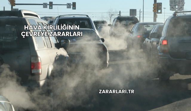 Hava Kirliliğinin Çevreye Zararları