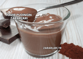 Hazır Pudingin Zararları