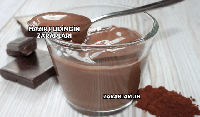 Hazır Pudingin Zararları