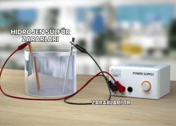 Hidrojen Sülfür Zararları