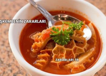 İşkembenin Zararları