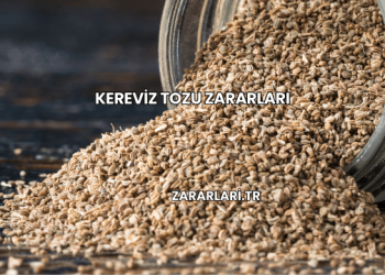 Kereviz Tozu Zararları