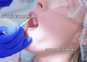 Fluoride Zararları