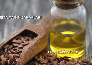 Frita Yağın Zararları