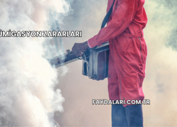 Fümigasyon Zararları