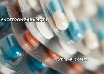 Gynoferon Zararları