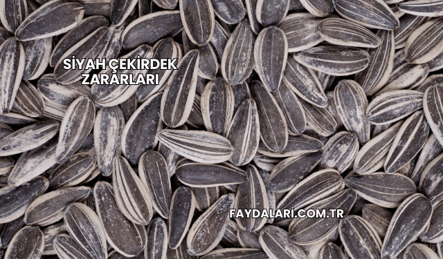 Siyah Çekirdek Zararları