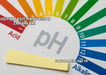 Sodyum Asit Pirofosfat Zararları