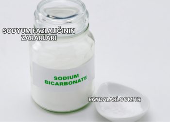 Sodyum Fazlalığının Zararları