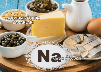 Sodyum Klorür Zararları