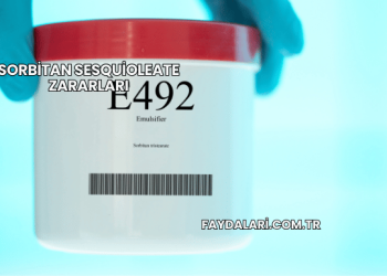 Sorbitan Sesquioleate Zararları